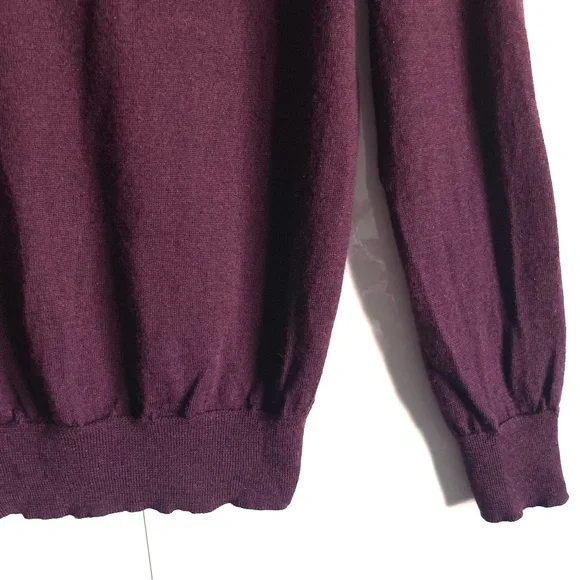 Polo Ralph Lauren Washable Wool Slim Fit V-Neck Sweater in Wine Size M EUC - Picture 14 of 16